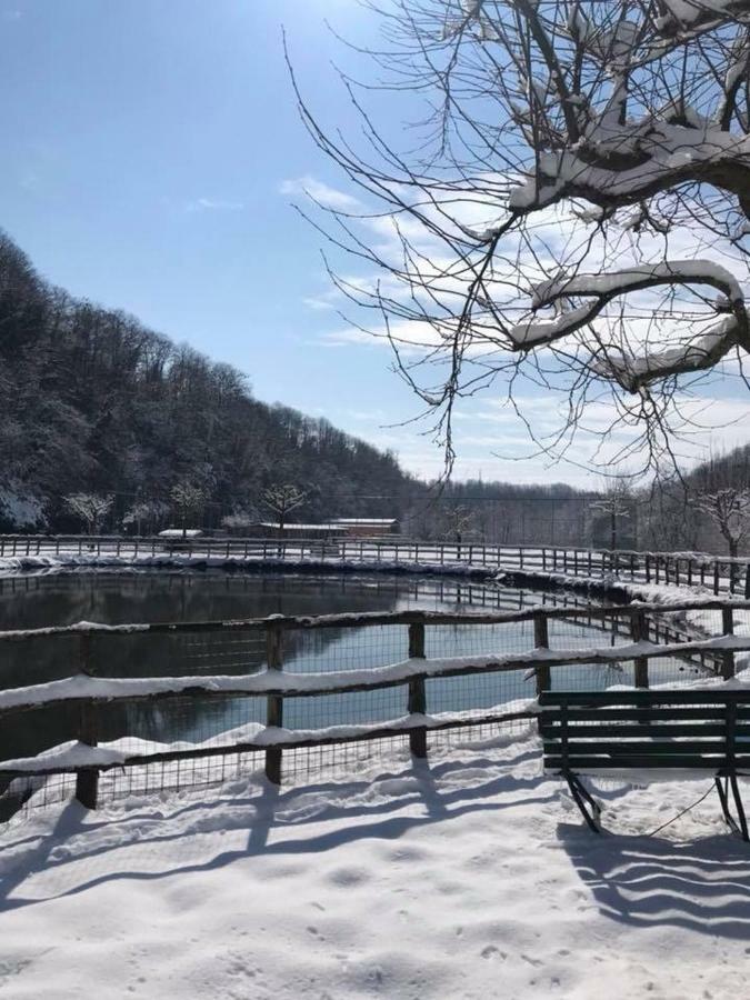 Agriturismo Casale Pepe Villa Палестрина Екстериор снимка
